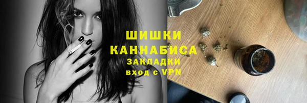 прущие грибы Зарайск